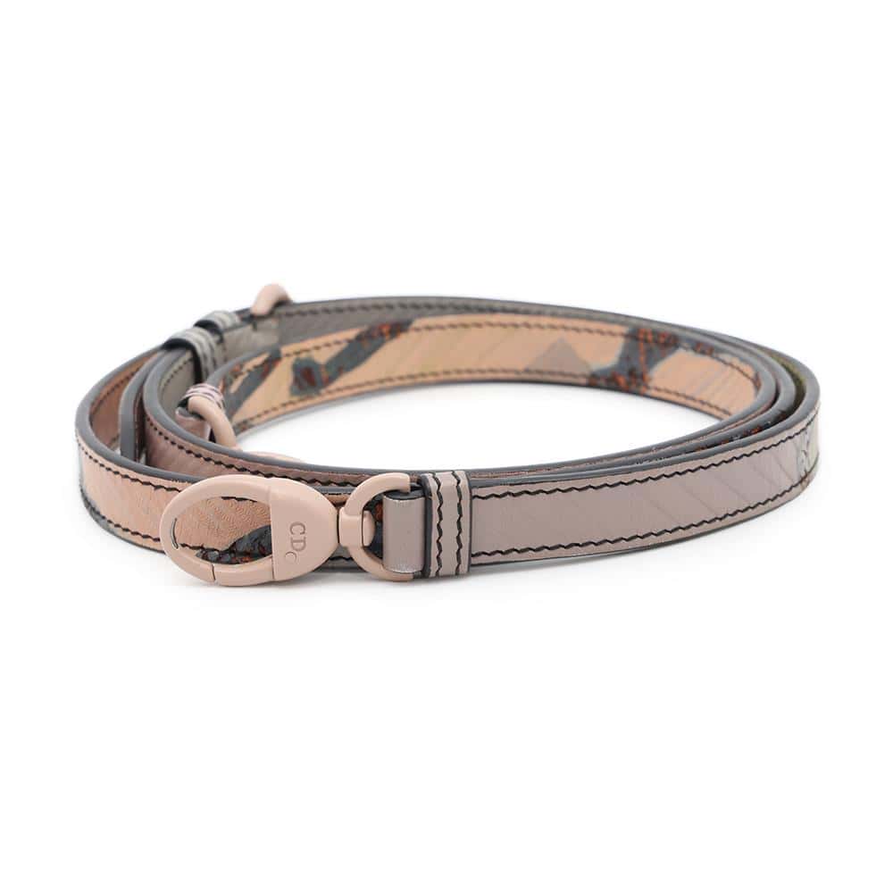 Dior Lady Dior Li Songsong Collaboration Multicolor Leather