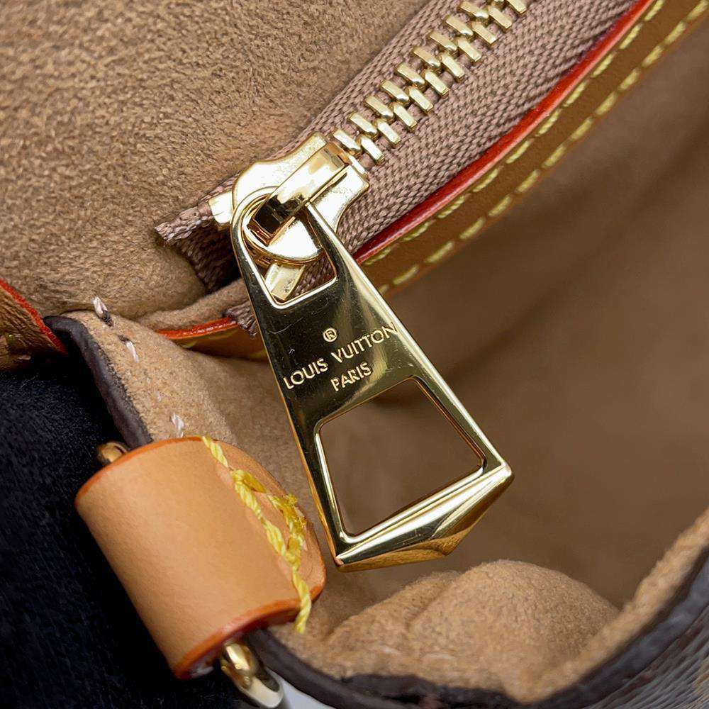 LOUIS VUITTON Diane NM BrownM46317 Monogram Shearling Size PM