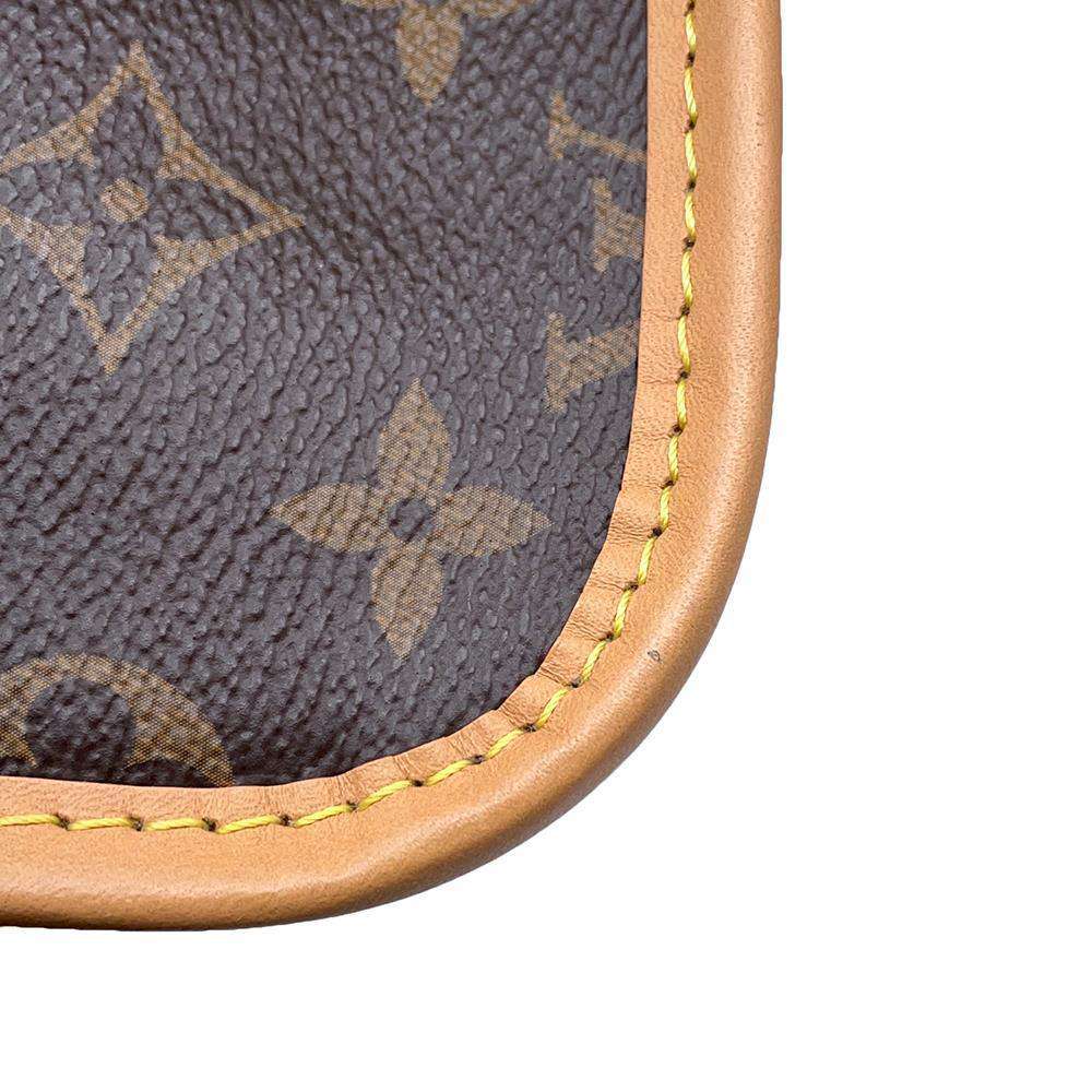 LOUIS VUITTON Diane NM BrownM46317 Monogram Shearling Size PM