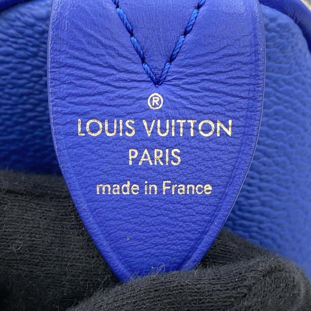 LOUIS VUITTON Speedy Gauguin BlueM43355 PVC Masters Collection Size 30