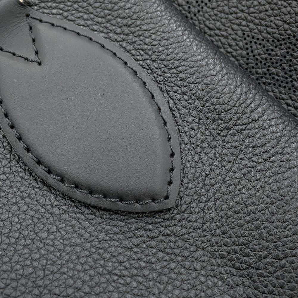 LOUIS VUITTON Haumea NoirM55029 Monogram Mahina