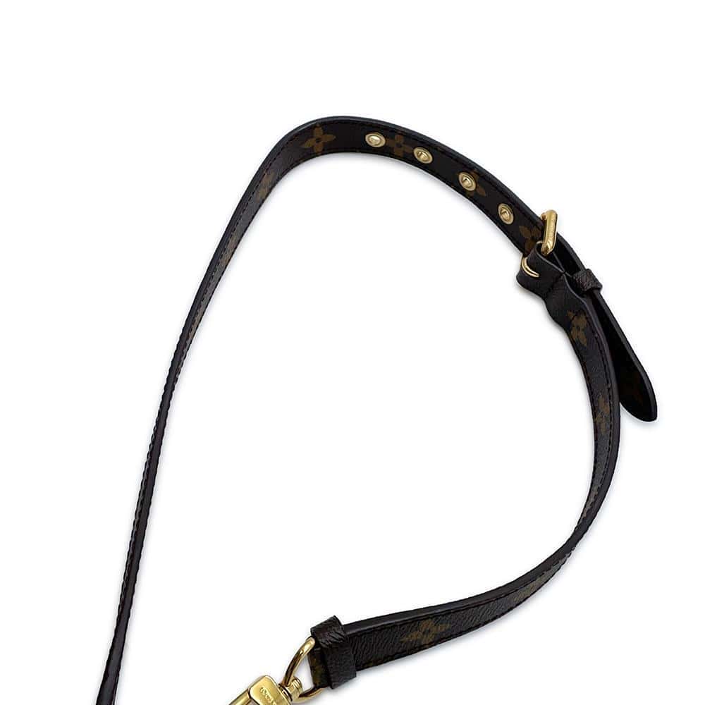 LOUIS VUITTON Eden AuroreM40759 Monogram Size MM