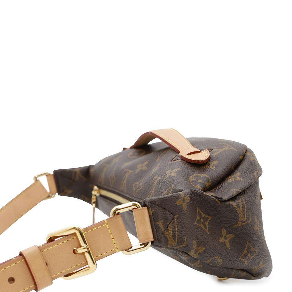 LOUIS VUITTON Bumbag NoirM43644 Monogram