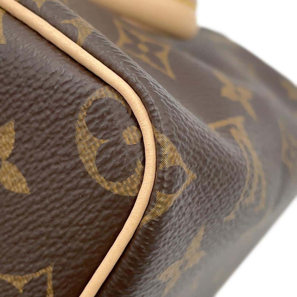 LOUIS VUITTON Nano Speedy BrownM61252 Monogram