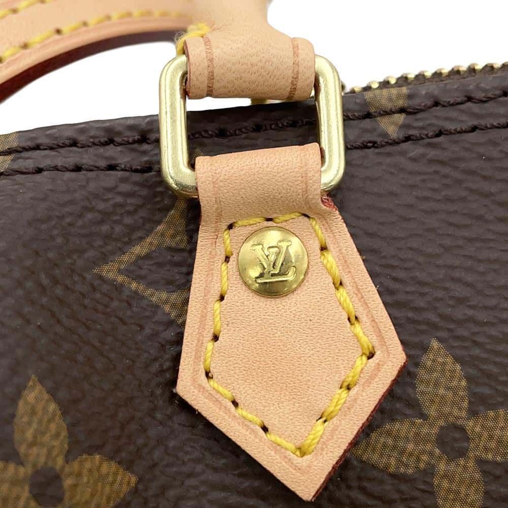 LOUIS VUITTON Nano Speedy BrownM61252 Monogram