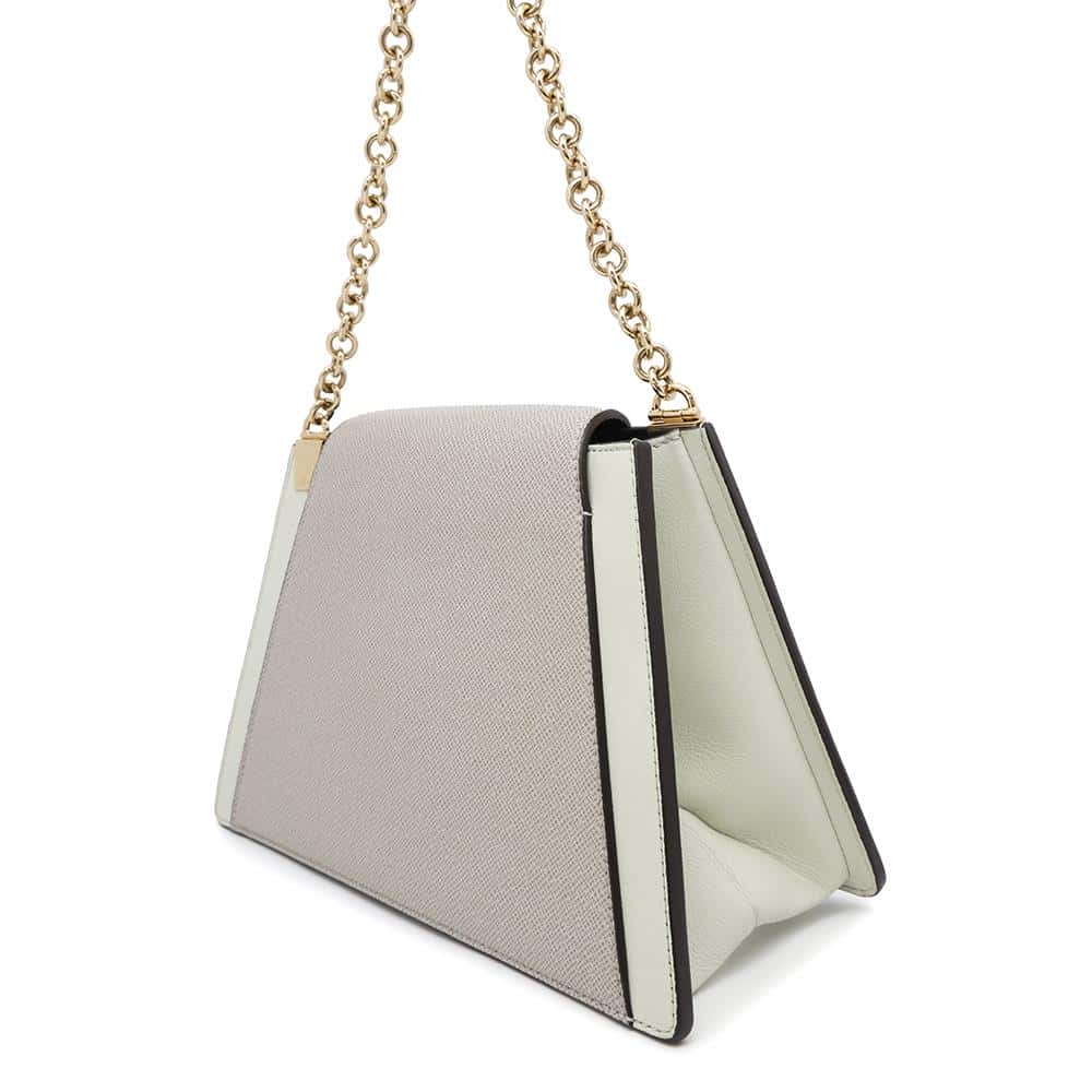 LOUIS VUITTON Trapeze Gray/MentheM53813 Taiga Leather