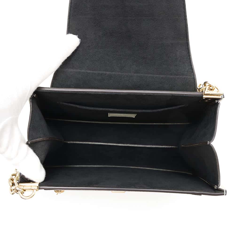 LOUIS VUITTON Trapeze Gray/MentheM53813 Taiga Leather