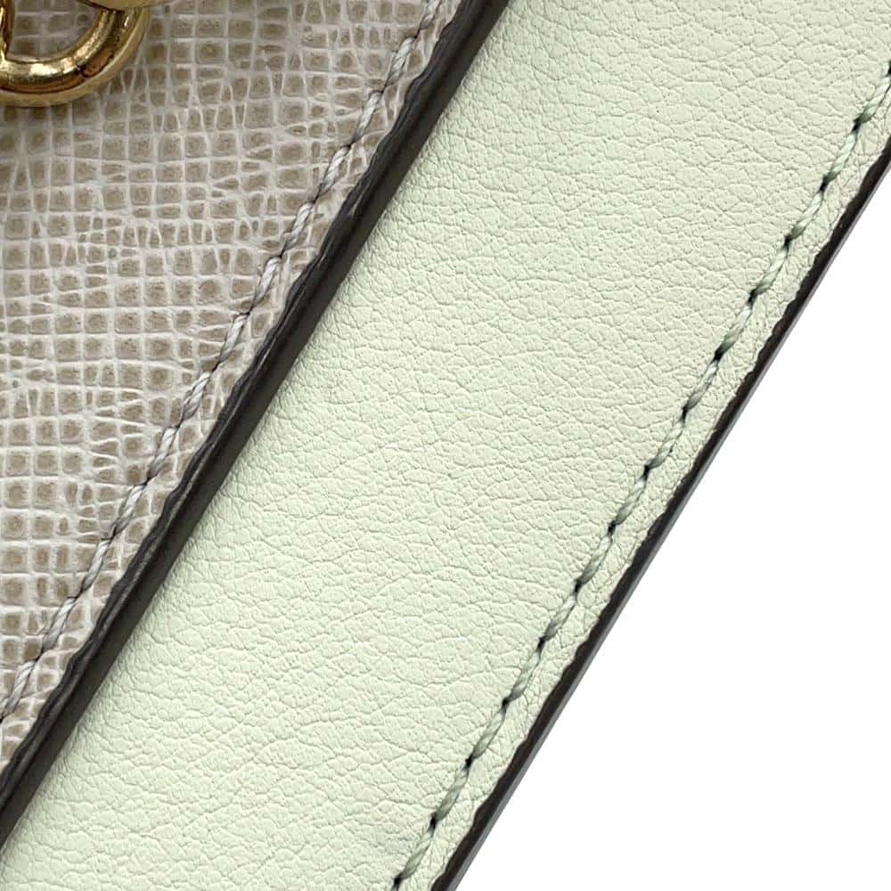 LOUIS VUITTON Trapeze Gray/MentheM53813 Taiga Leather