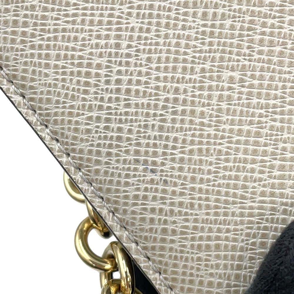 LOUIS VUITTON Trapeze Gray/MentheM53813 Taiga Leather
