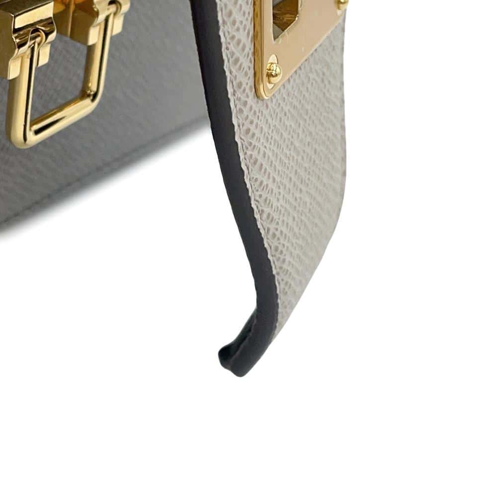 LOUIS VUITTON Trapeze Gray/MentheM53813 Taiga Leather