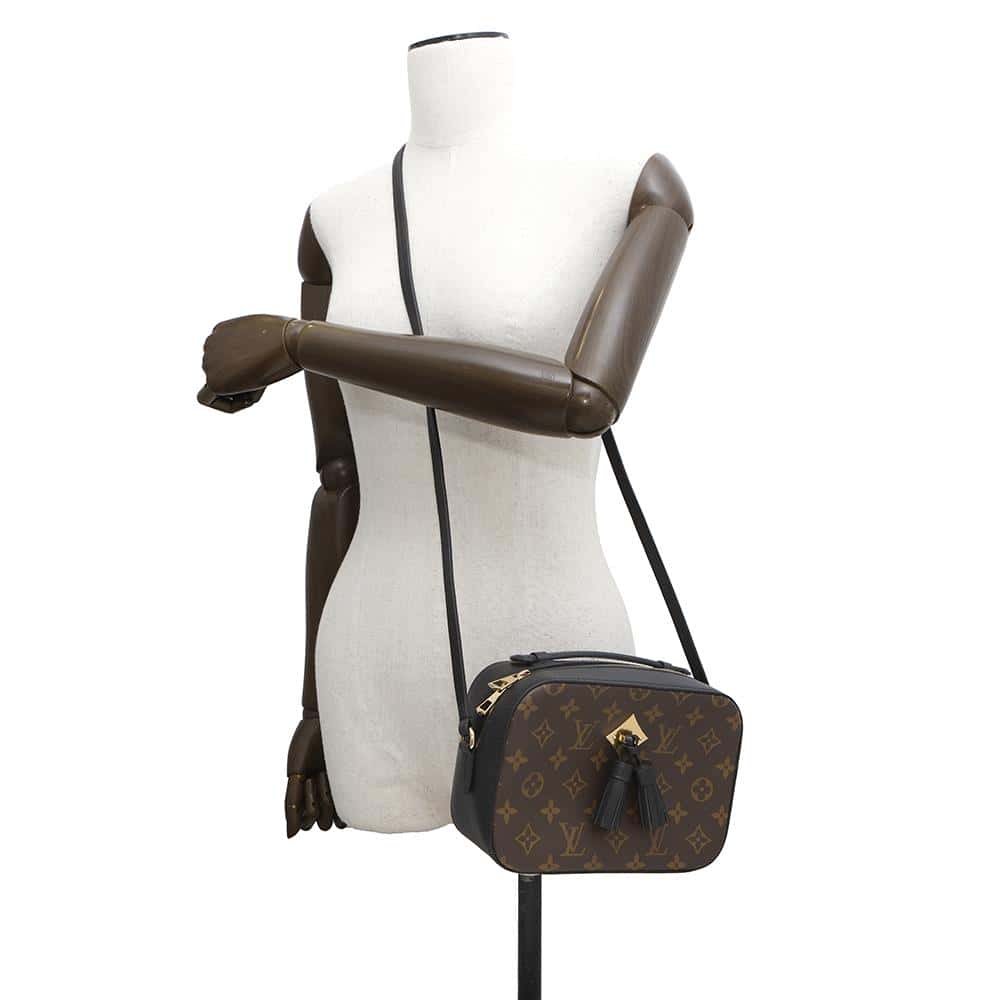 LOUIS VUITTON Saintonge NoirM43555 Monogram Calf Leather