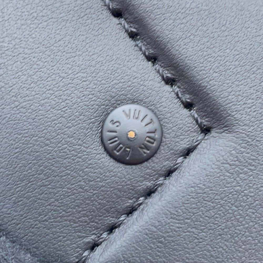 LOUIS VUITTON Comet Bumbag NoirM22494 Monogram/Spotlight