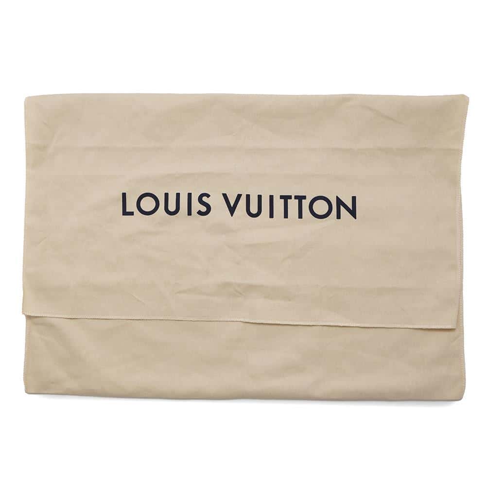 LOUIS VUITTON Comet Bumbag NoirM22494 Monogram/Spotlight