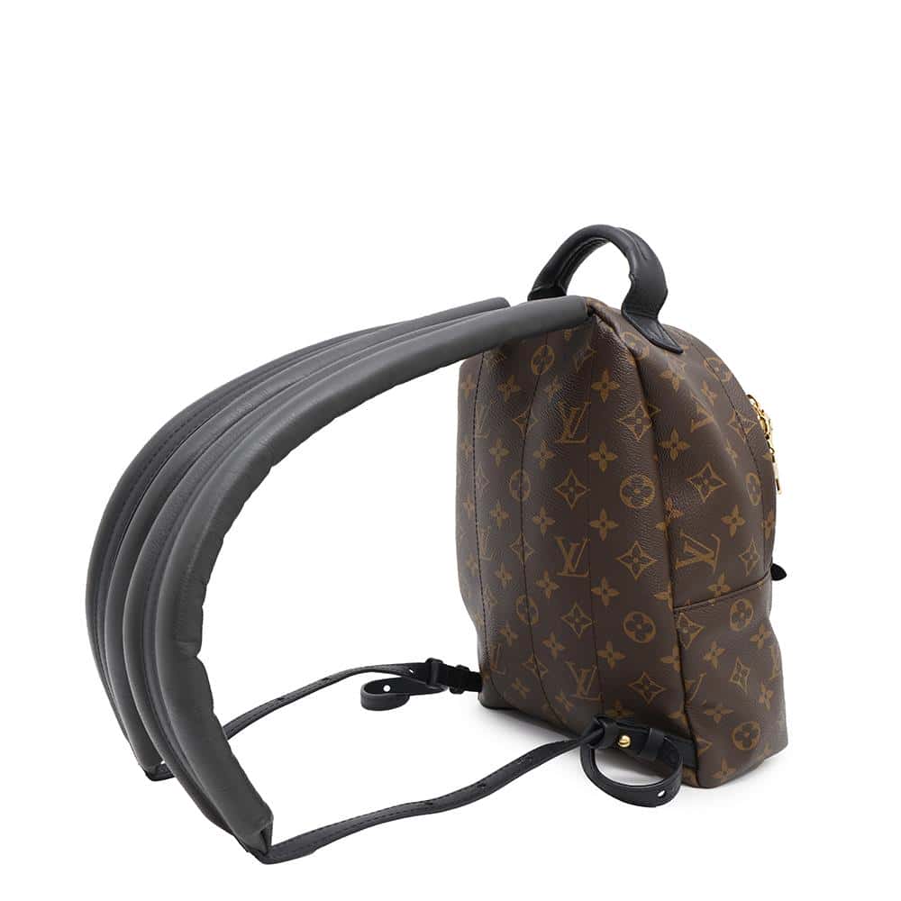 LOUIS VUITTON Palm Springs Backpack NoirM44871 Monogram Size PM
