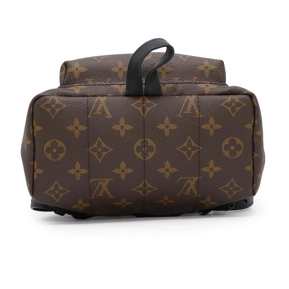LOUIS VUITTON Palm Springs Backpack NoirM44871 Monogram Size PM