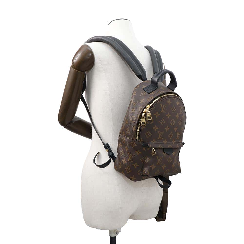 LOUIS VUITTON Palm Springs Backpack NoirM44871 Monogram Size PM