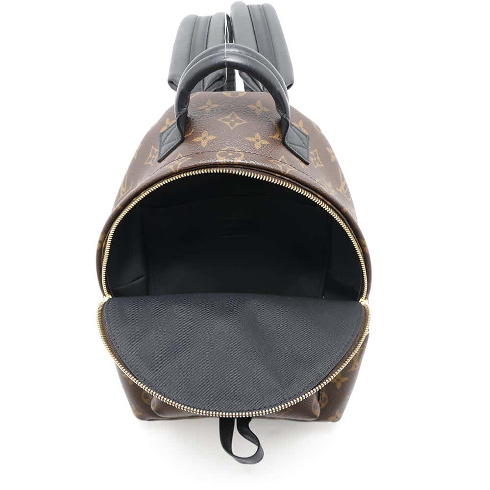 LOUIS VUITTON Palm Springs Backpack NoirM44871 Monogram Size PM