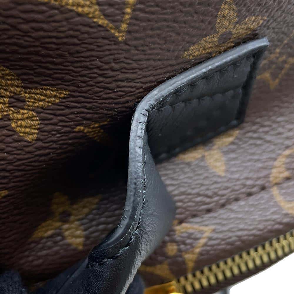 LOUIS VUITTON Palm Springs Backpack NoirM44871 Monogram Size PM