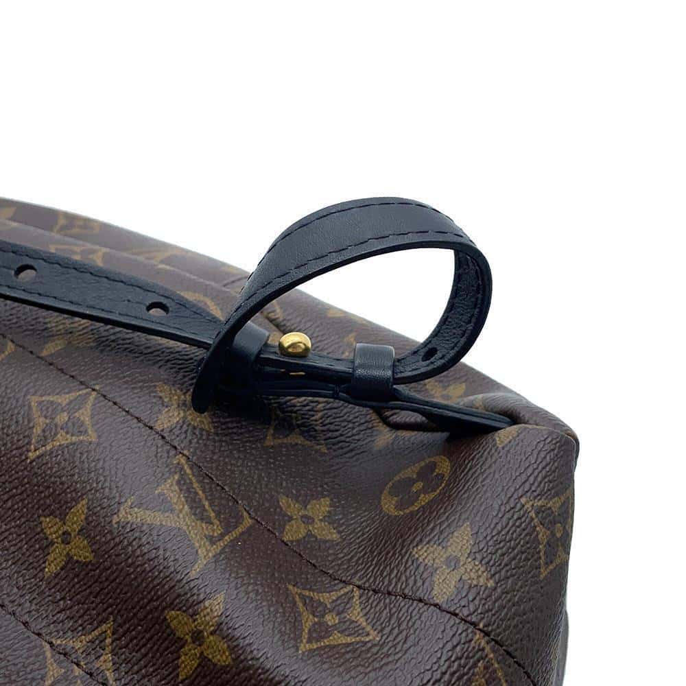 LOUIS VUITTON Palm Springs Backpack NoirM44871 Monogram Size PM