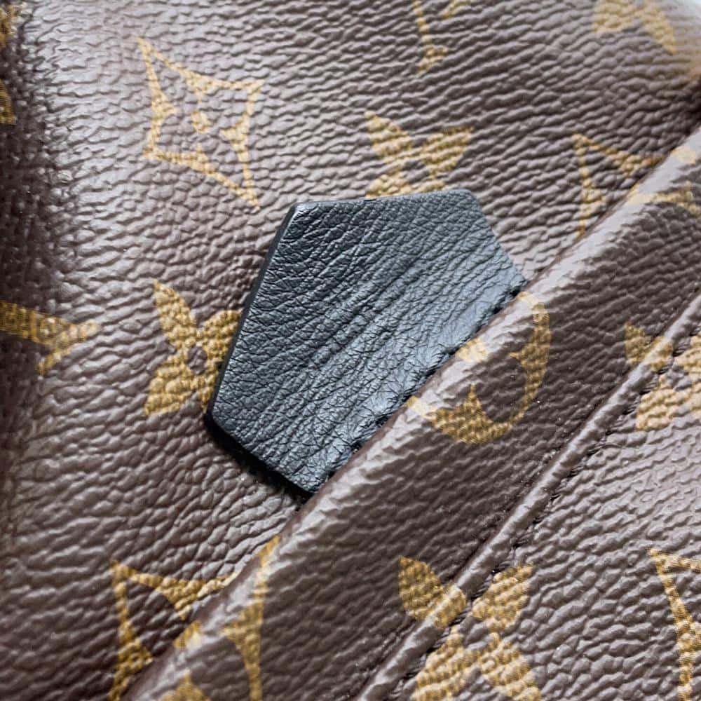 LOUIS VUITTON Palm Springs Backpack NoirM44871 Monogram Size PM