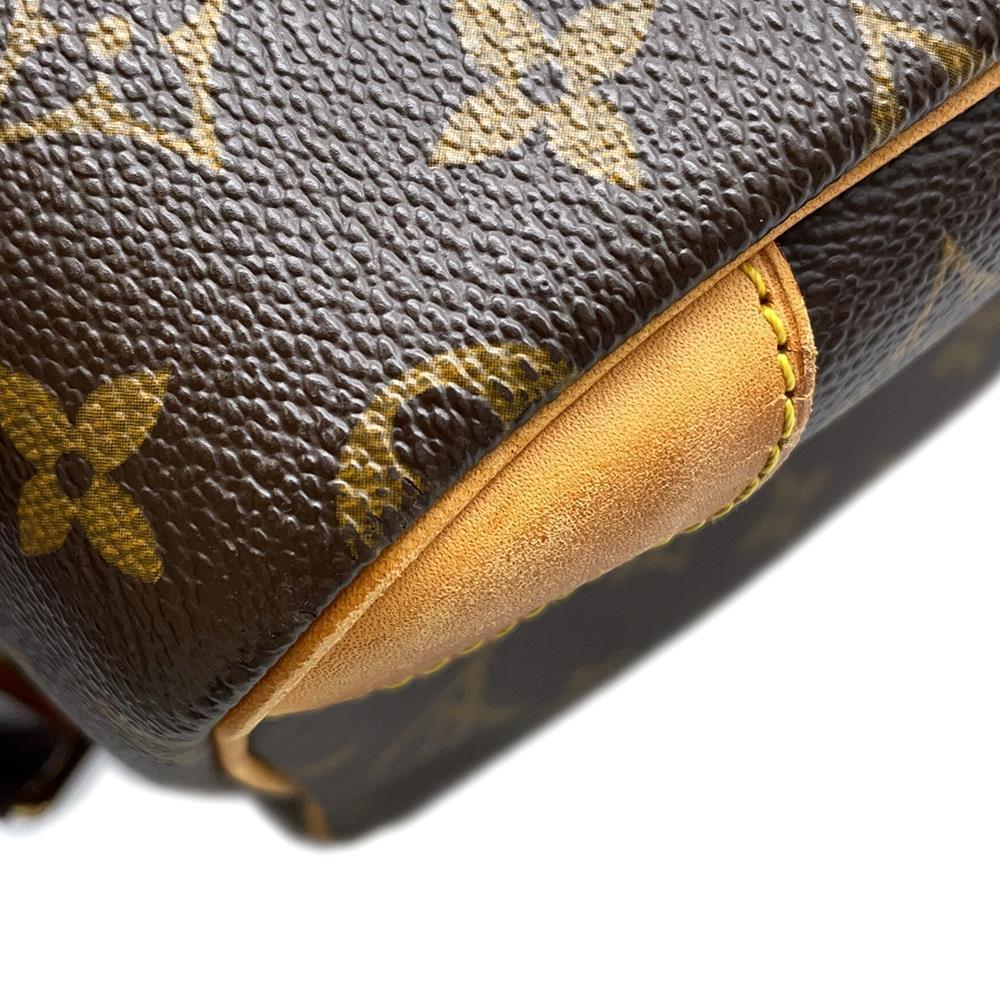 LOUIS VUITTON Nile BrownM45244 Monogram