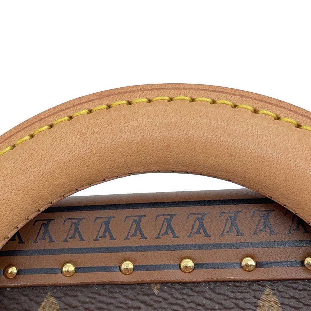 LOUIS VUITTON Camera box BrownM10079 Monogram