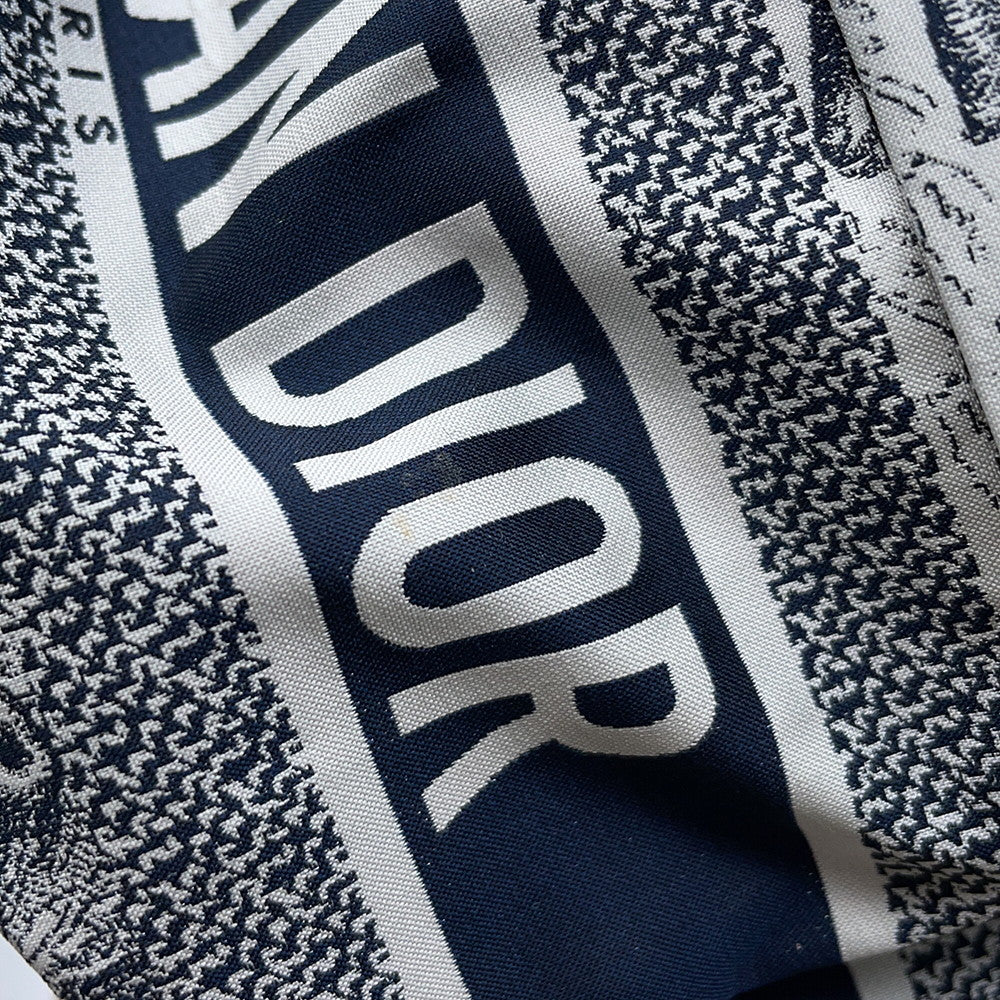 Dior DiorTravel Small Backpack White/Navy Nylon