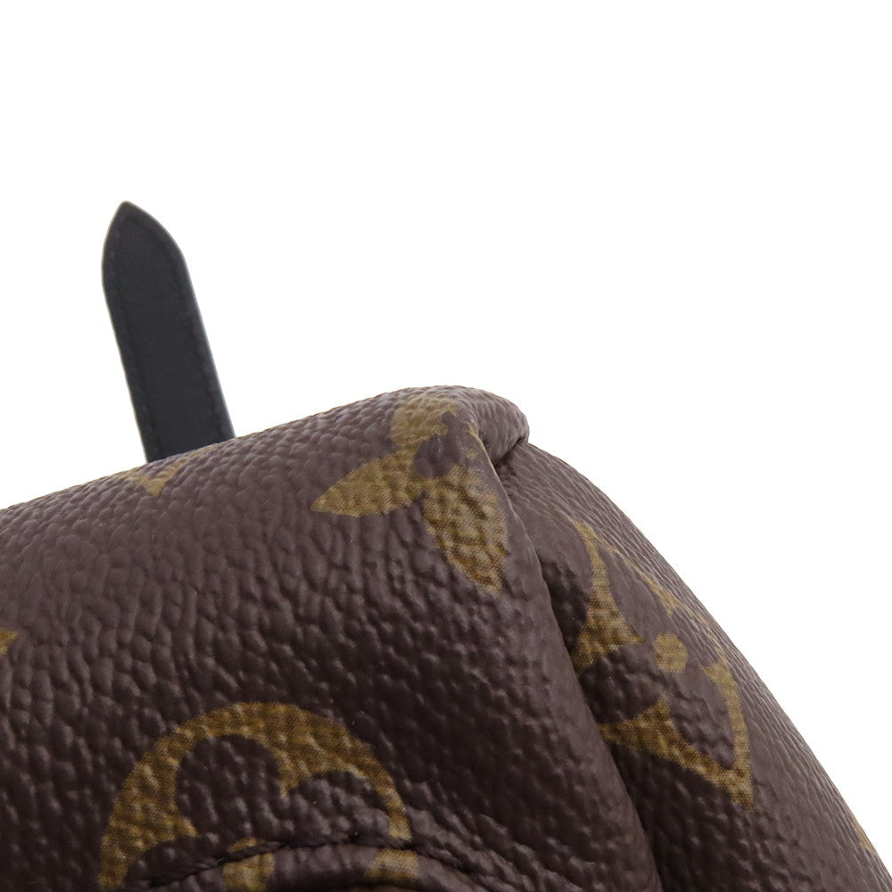 LOUIS VUITTON Palm Springs Backpack NoirM44871 Monogram Size PM
