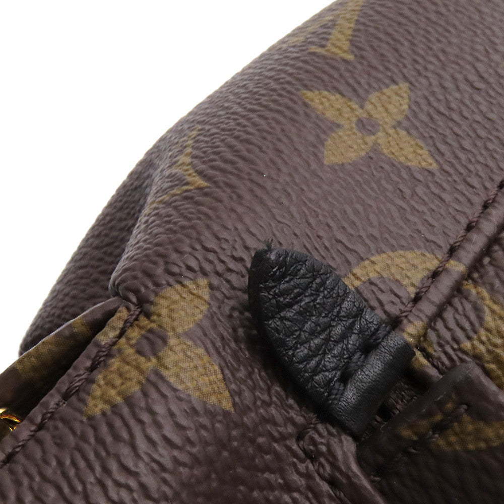 LOUIS VUITTON Palm Springs Backpack NoirM44871 Monogram Size PM