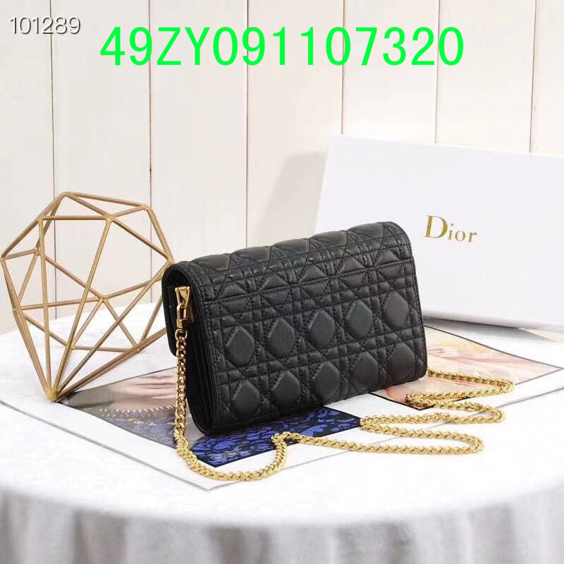Christian Dior Luxury - The Tote   651