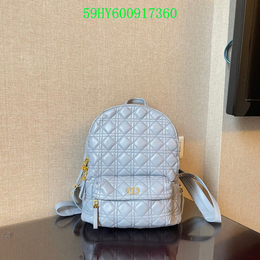 Christian Dior Luxury - The Tote   717