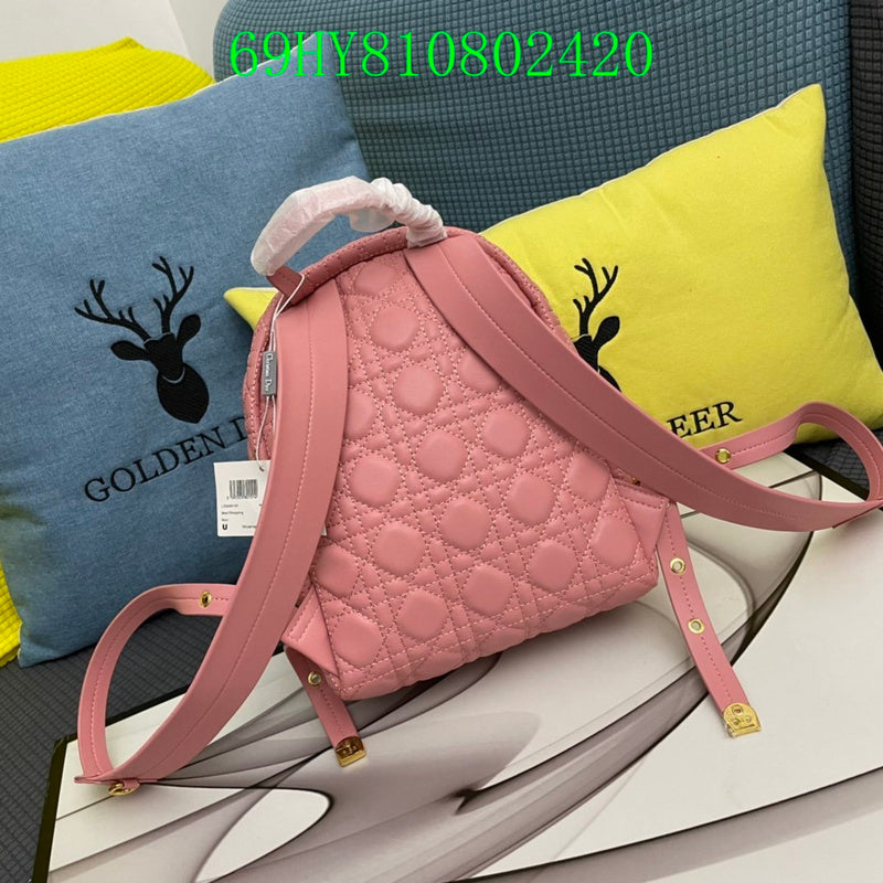 Christian Dior Luxury - The Tote   744