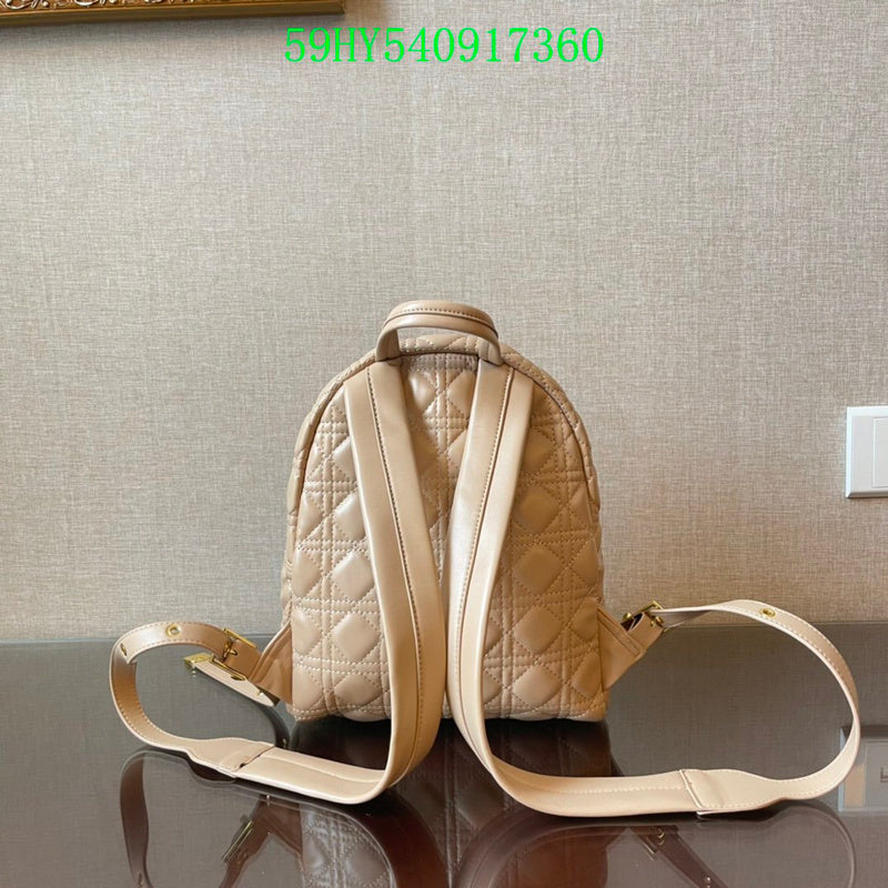 Christian Dior Luxury - The Tote   729