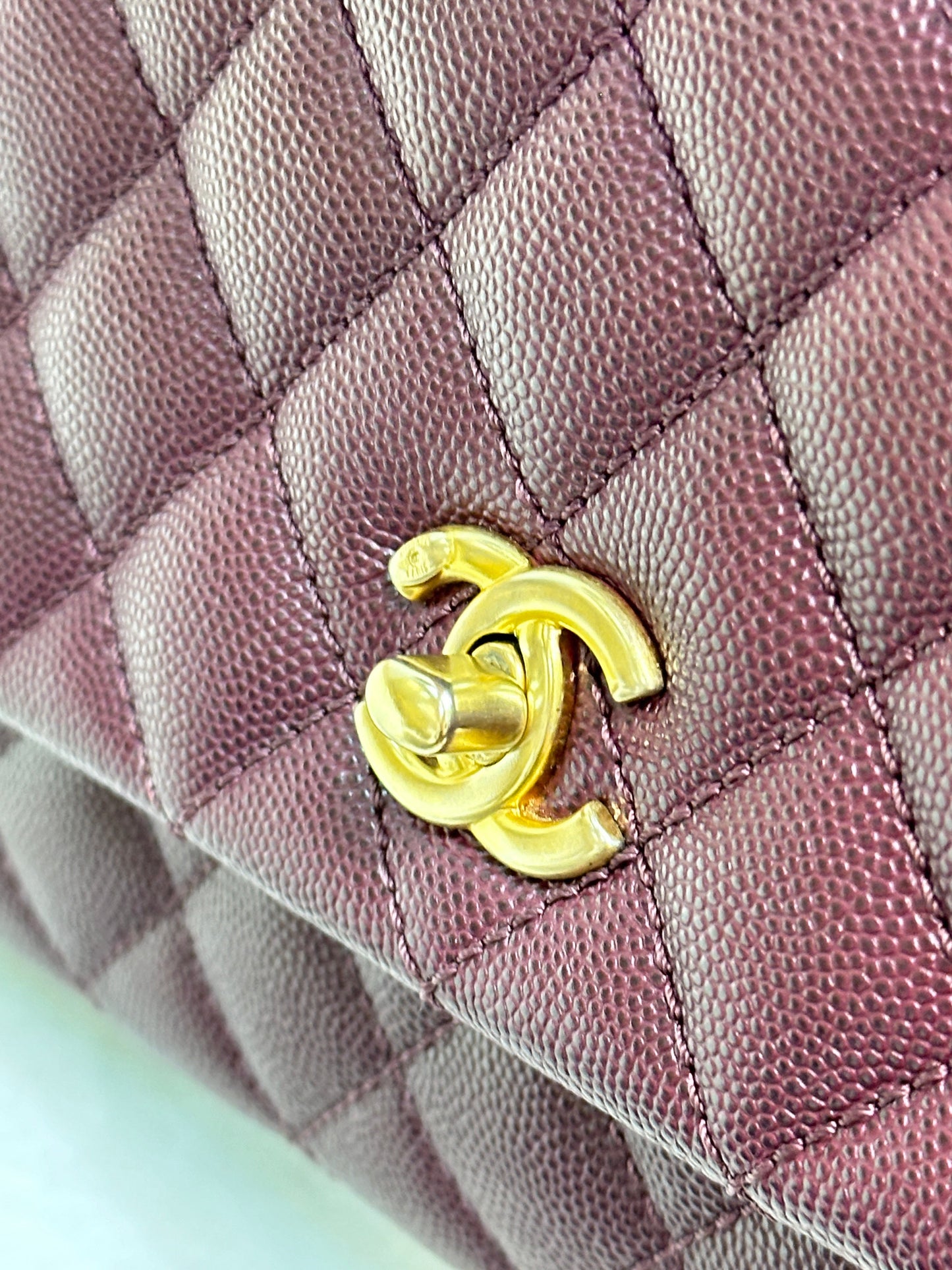 Chanel Small Coco Handle Elaphe Leather Handle Burgundy