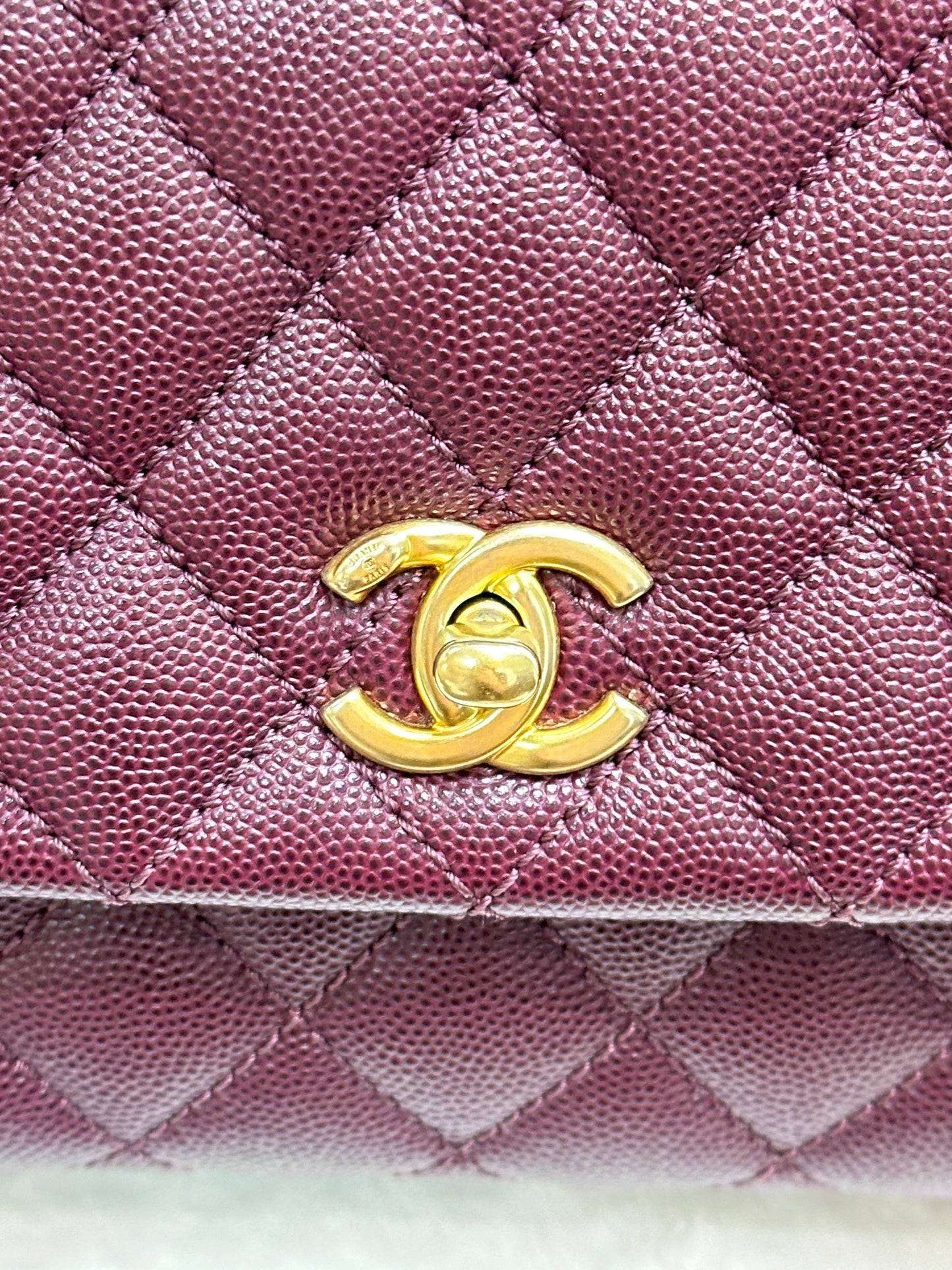 Chanel Small Coco Handle Elaphe Leather Handle Burgundy