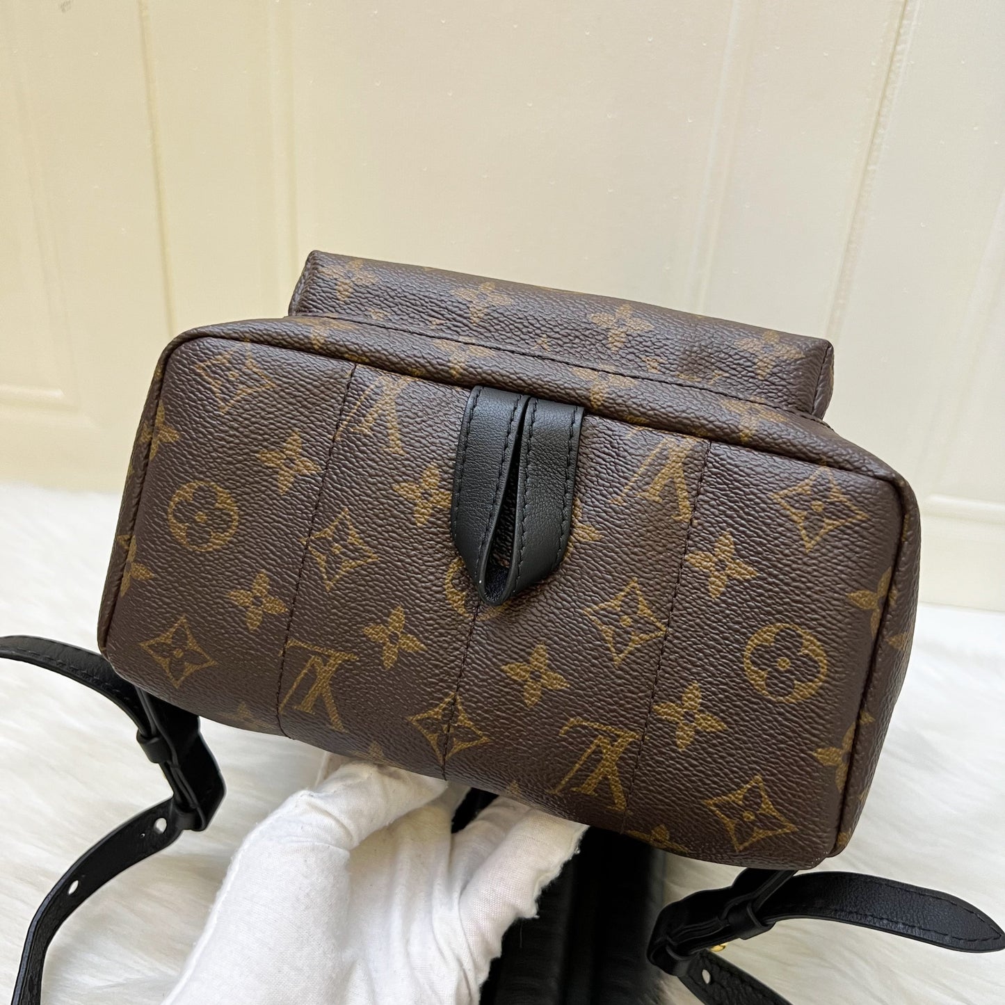 LV Palm Springs PM Backpack in Monogram Canvas and GHW