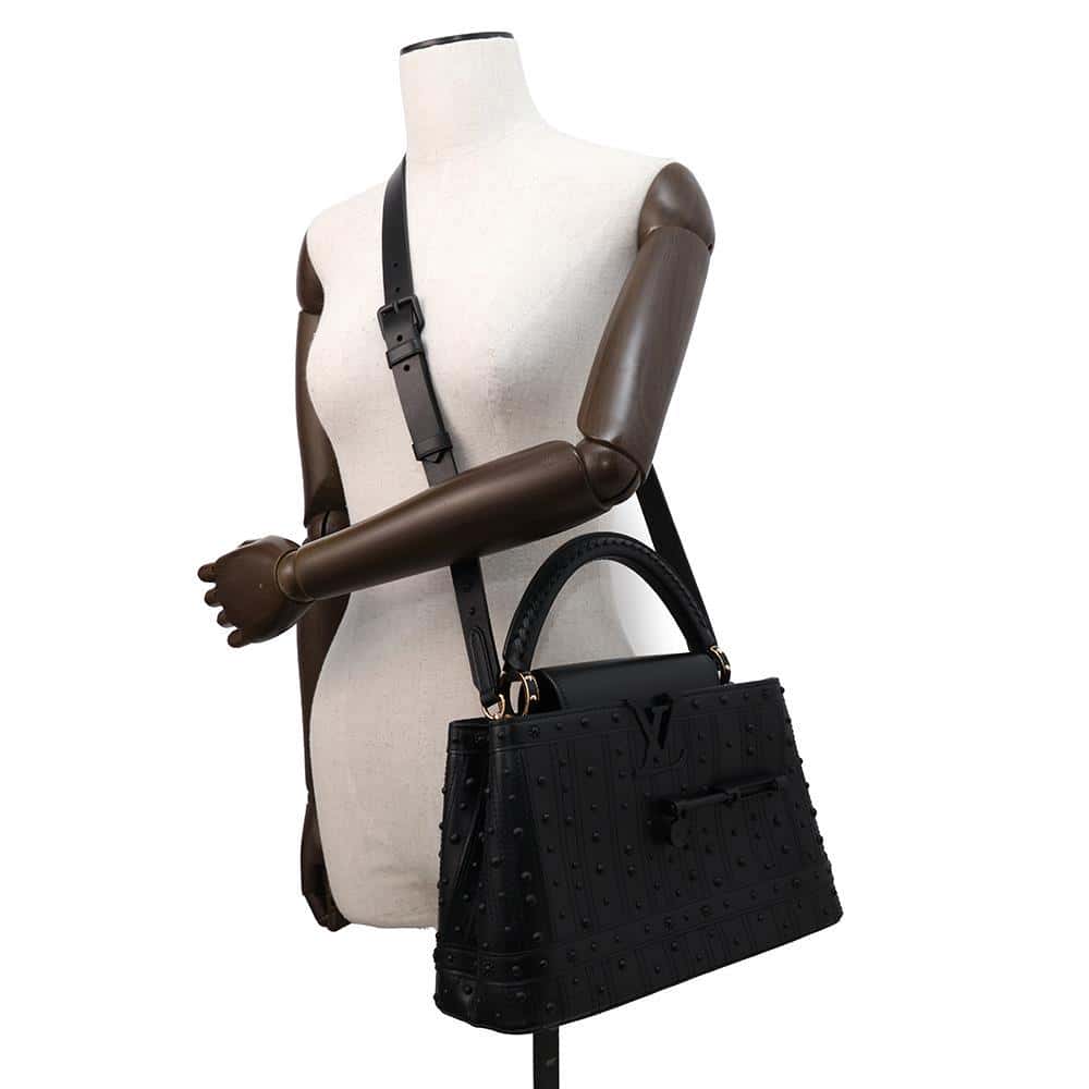 LOUIS VUITTON Arty Capucines Collection Peter Marino NoirM21414 Taurillon Size MM