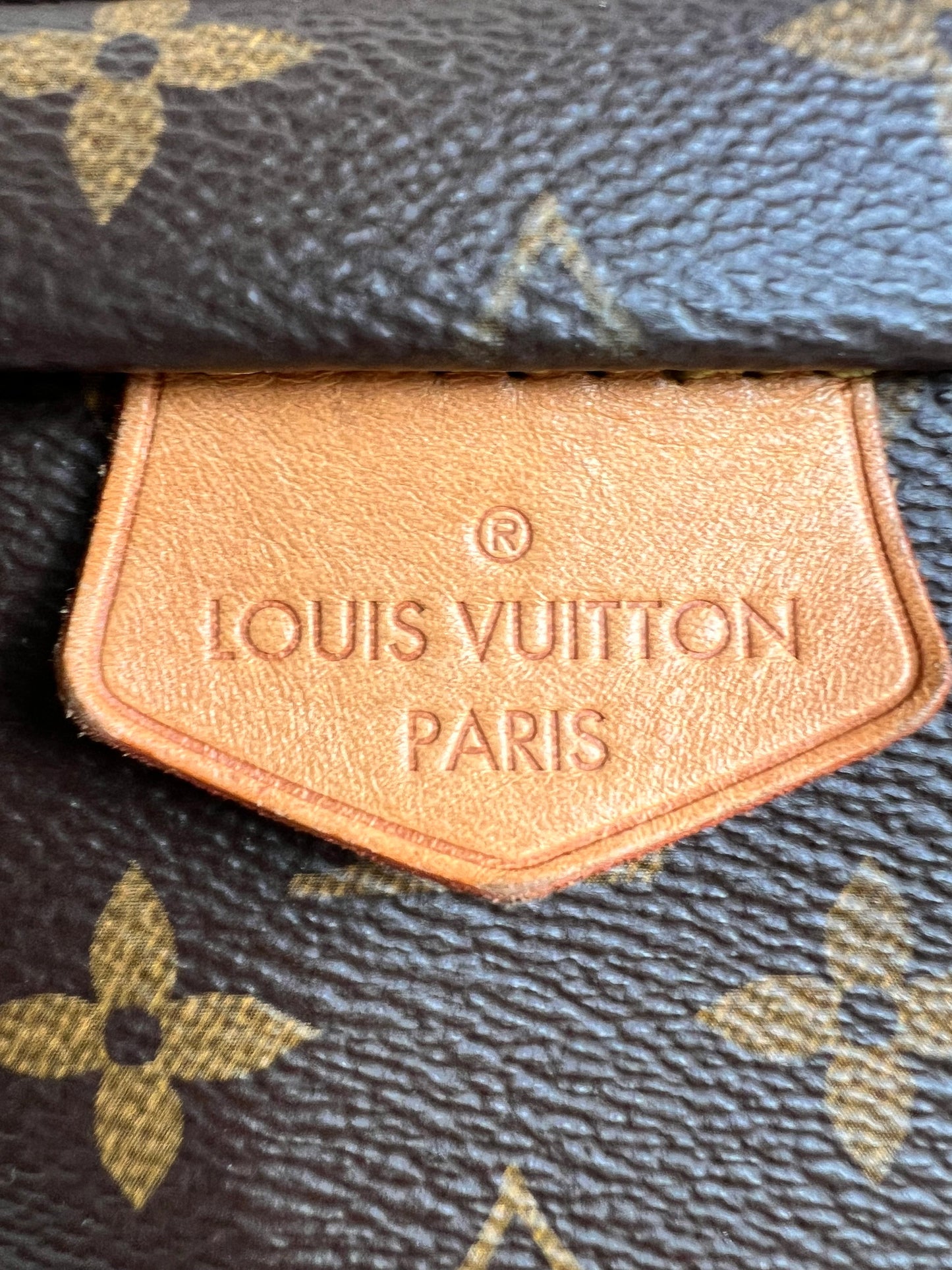 Louis Vuitton Bumbag in Monogram Canvas