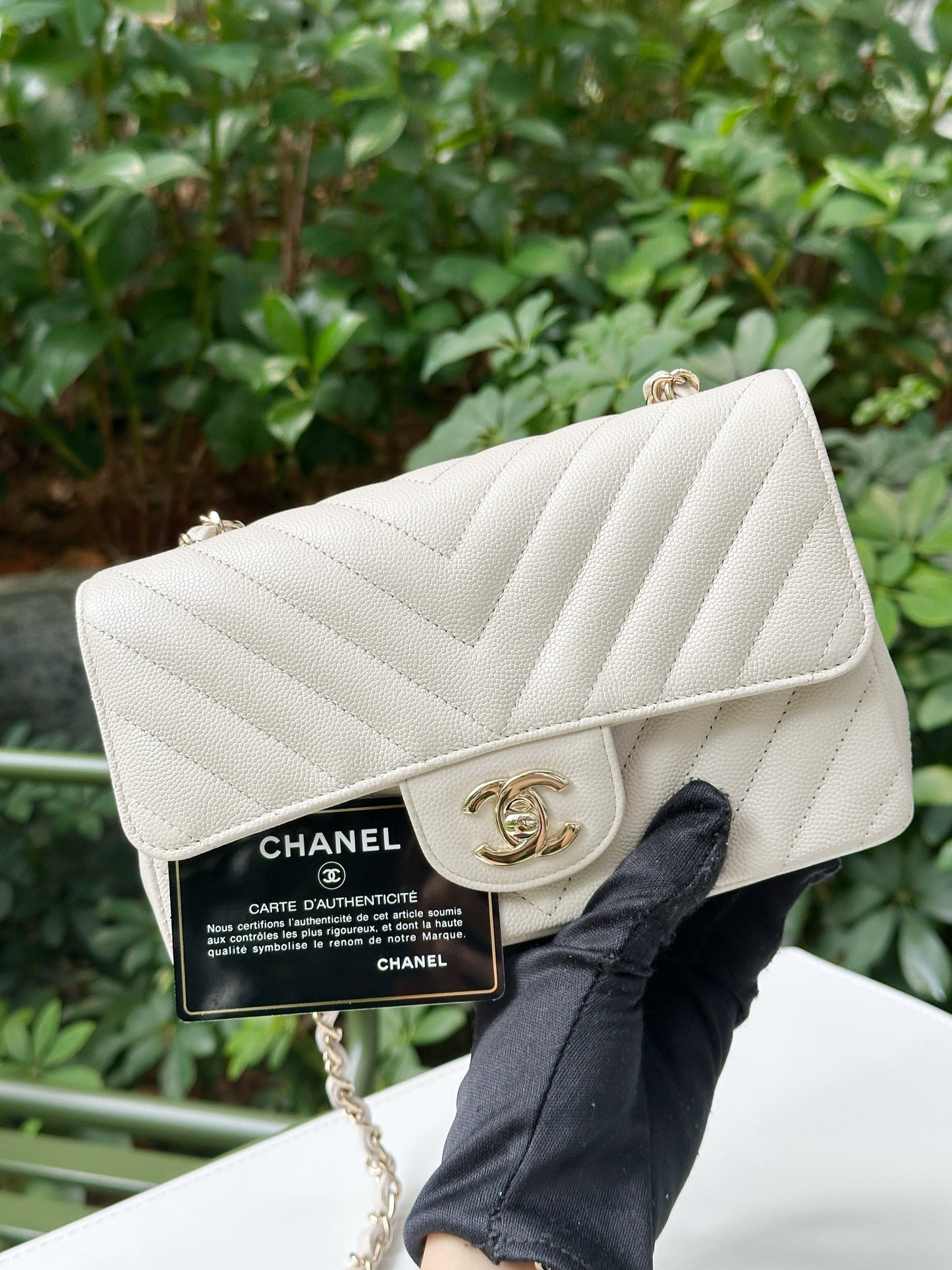 Chanel Mini Rectangle Chevron Blush Hue Light Beige Flap Bag LGHW 2644 holo card