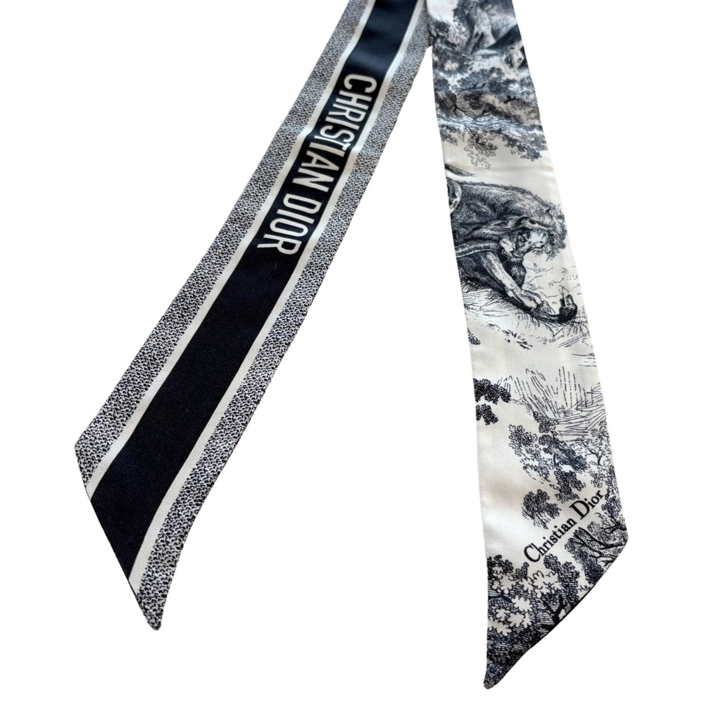 Christian Dior Twilly Scarf