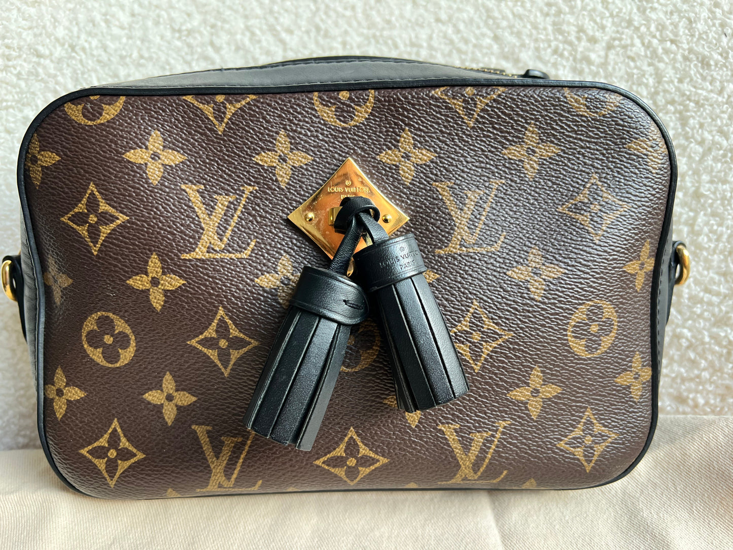 Louis Vuitton Saintonge Black and Monogram