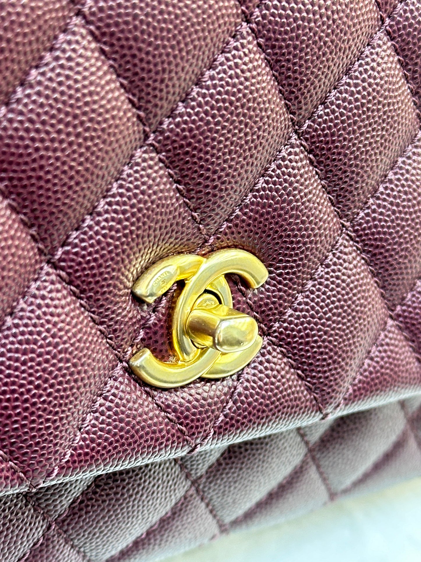Chanel Small Coco Handle Elaphe Leather Handle Burgundy