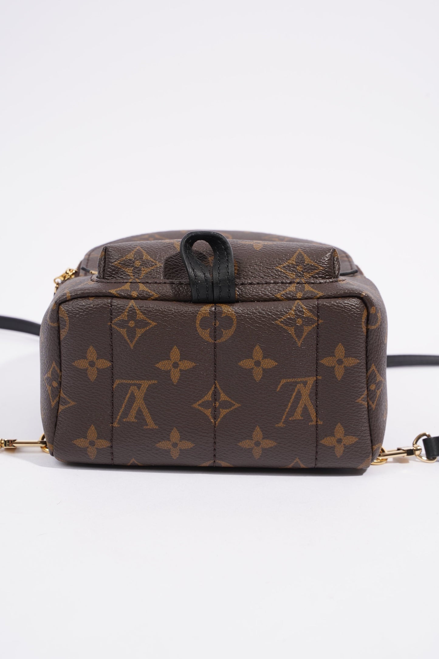 Louis Vuitton Palm Springs Mini Backpack Monogram Coated Canvas