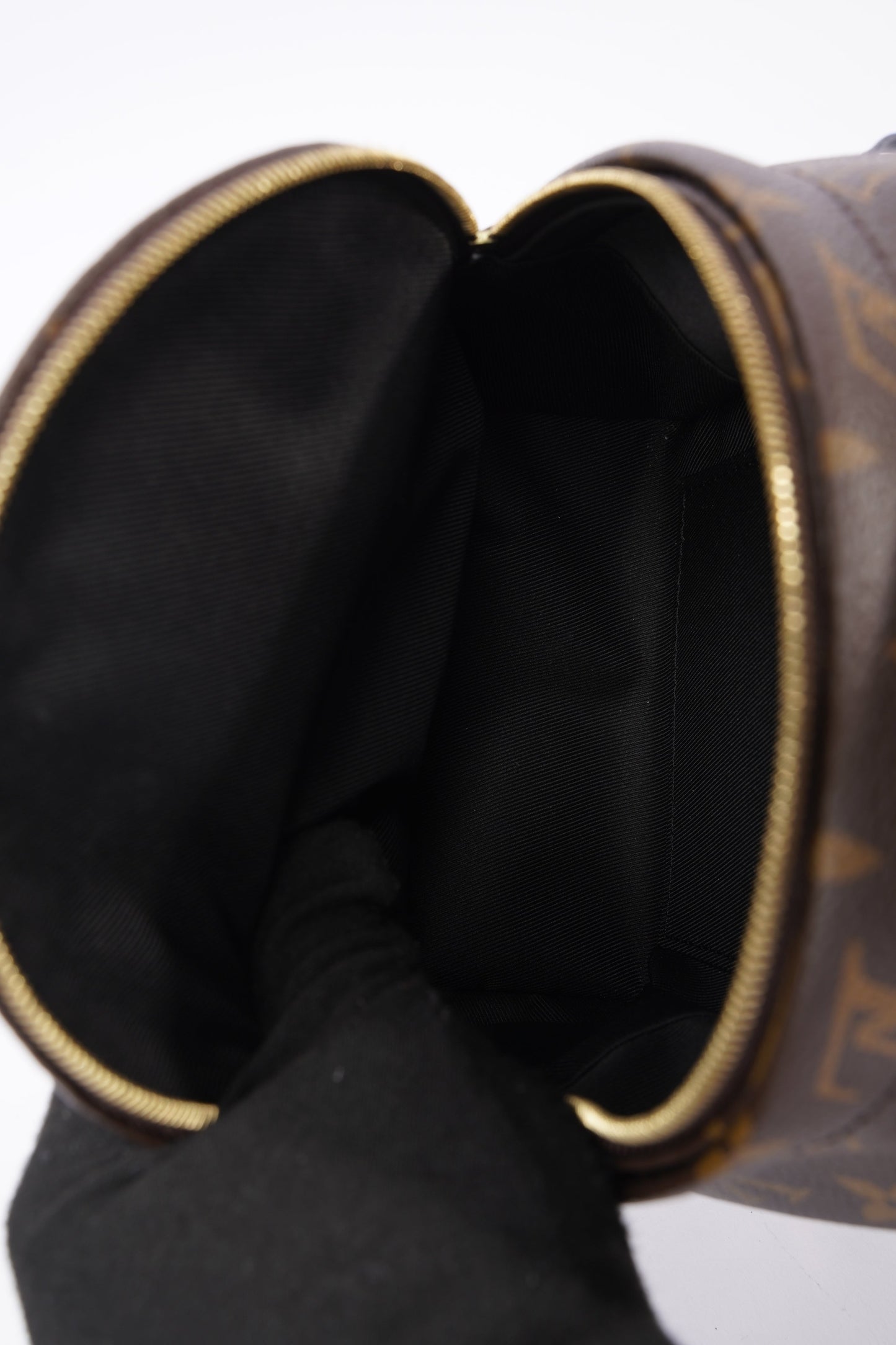 Louis Vuitton Palm Springs Mini Backpack Monogram Coated Canvas