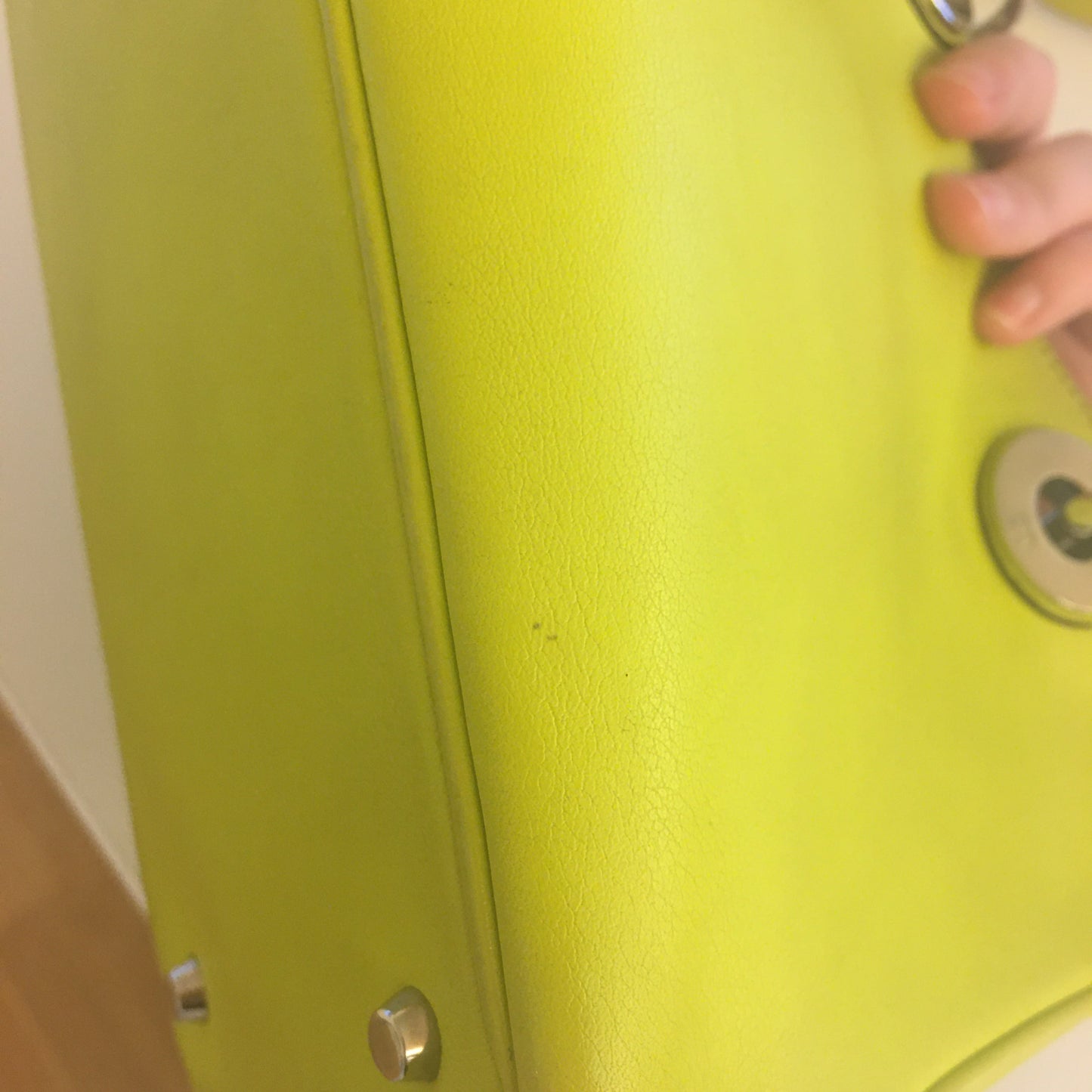 CHRISTIAN DIOR Lady Dior Handbag in Green Leather