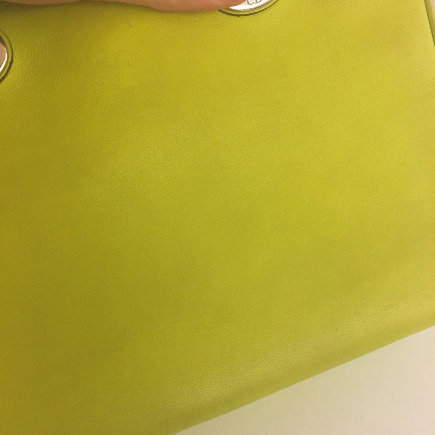 CHRISTIAN DIOR Lady Dior Handbag in Green Leather