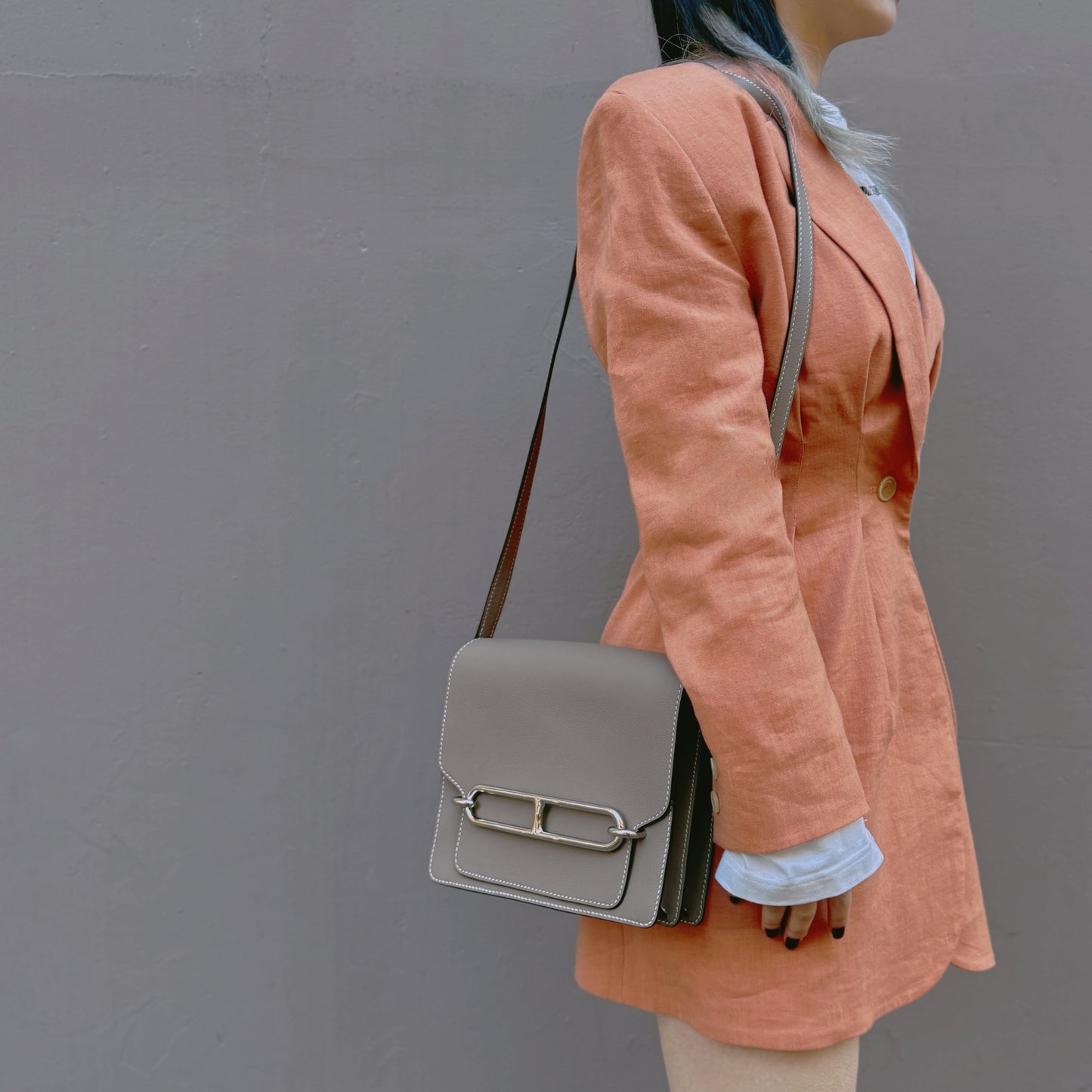 Hermes EverColor Roulis23 Bag