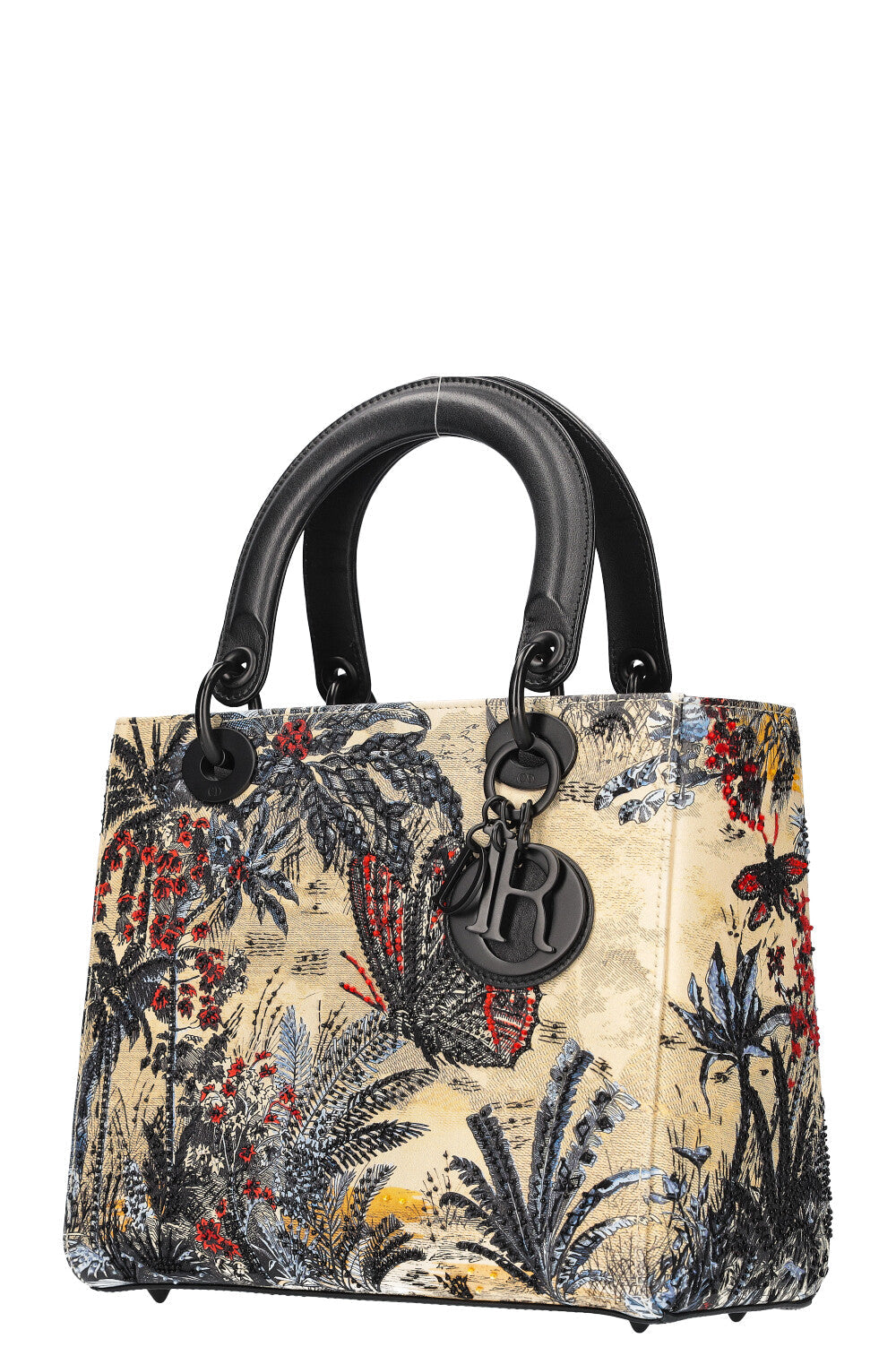 CHRISTIAN DIOR Lady Dior Bag Medium Multicolor
