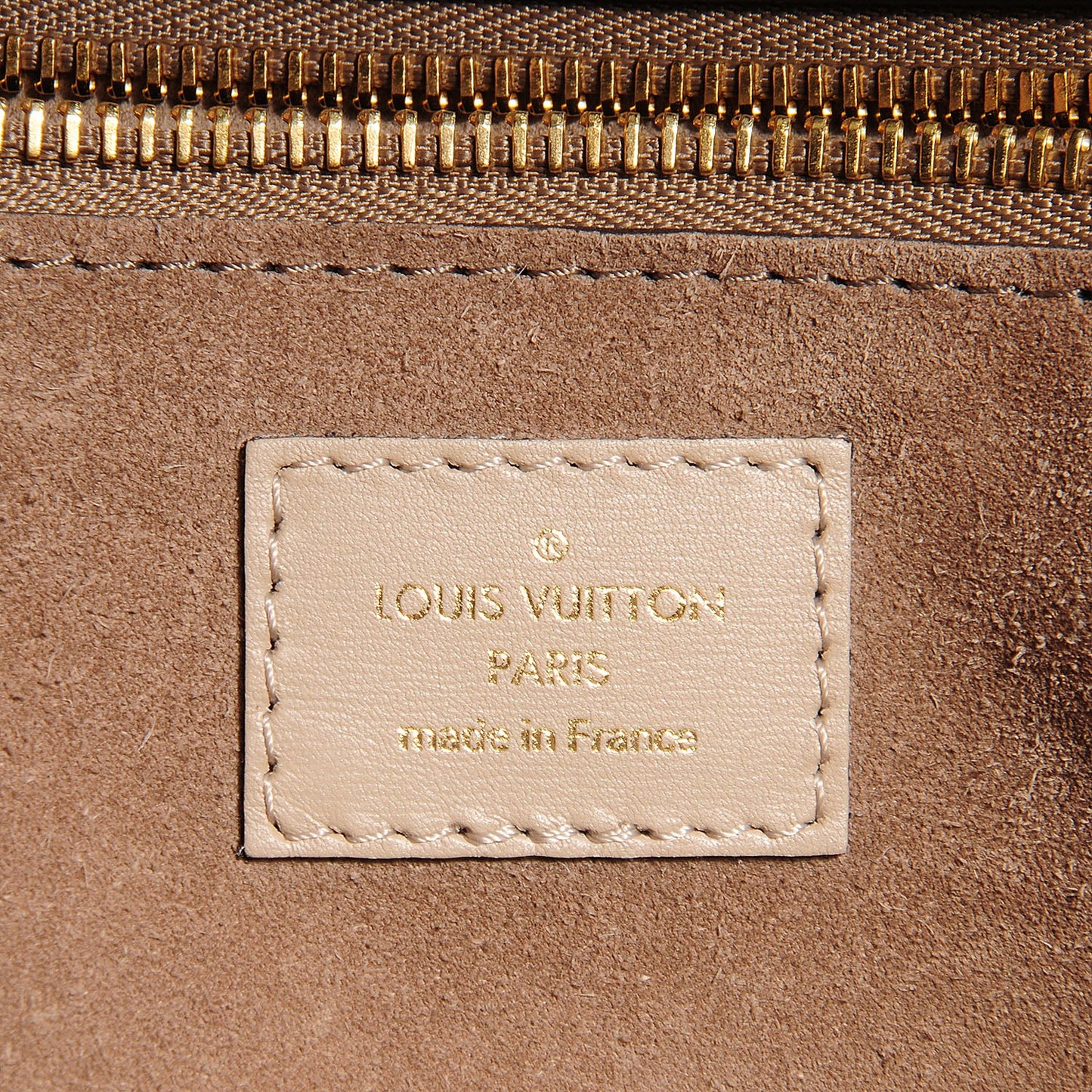 LOUIS VUITTON MONOGRAM VEAU CACHEMIRE PM BAG