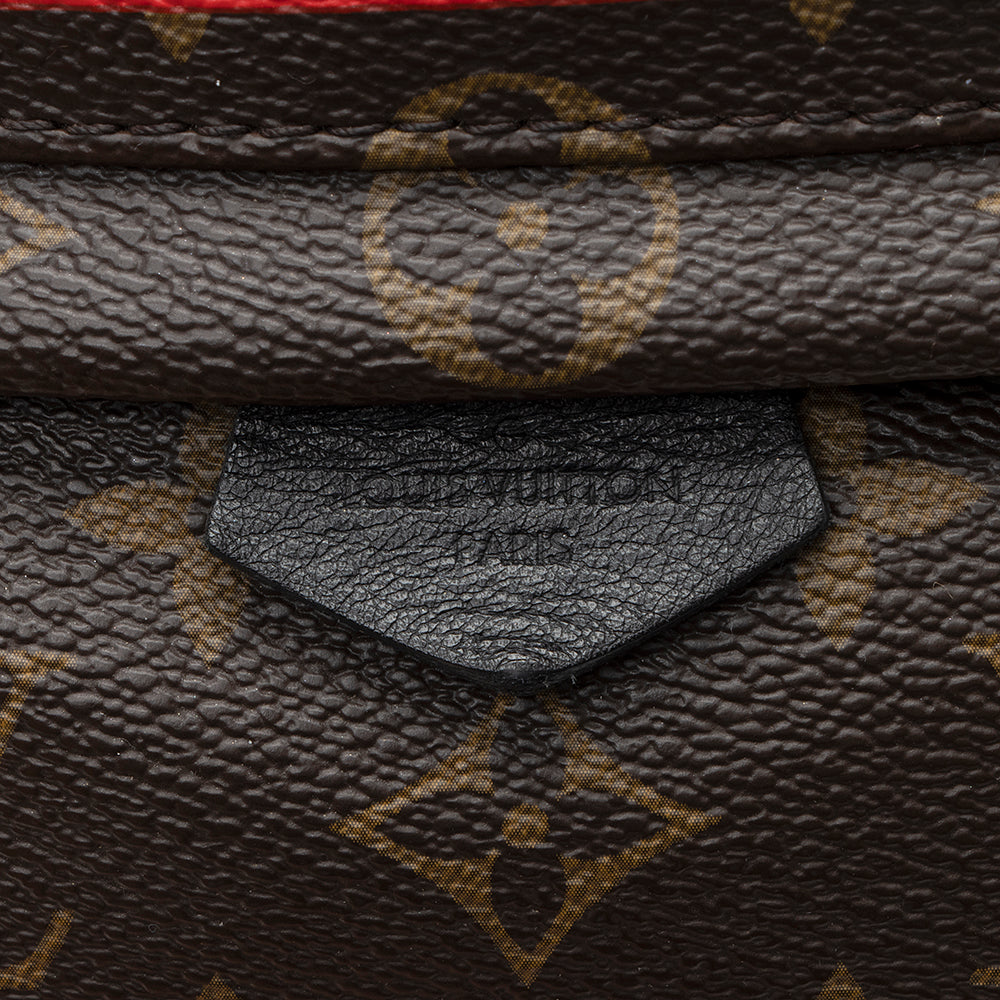 Louis Vuitton Monogram Canvas Palm Springs Mini Backpack - FINAL SALE (SHF-21047)